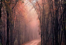 中年男挽回复合,三步理解动机重建信任