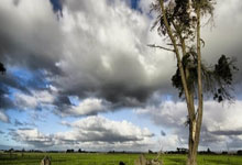 双鱼座被天秤甩后挽回的策略与耐心建议