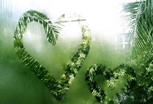 被骗后挽回女友的分阶段建议框架