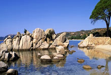 How to Recover After Being Hurt